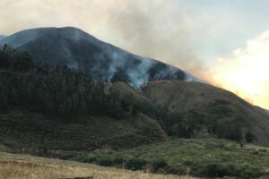 Incendio en Combuyo amenaza un bosque