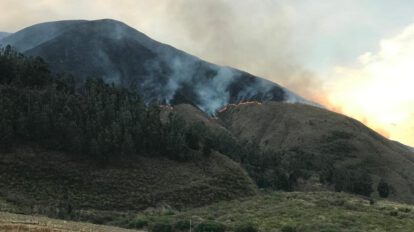 Incendio en Combuyo amenaza un bosque