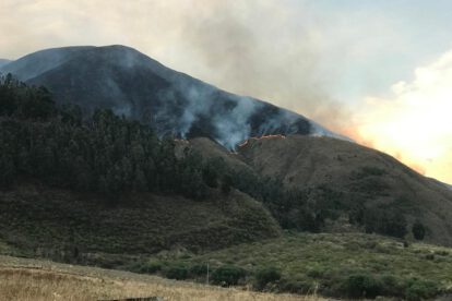 Incendio en Combuyo amenaza un bosque