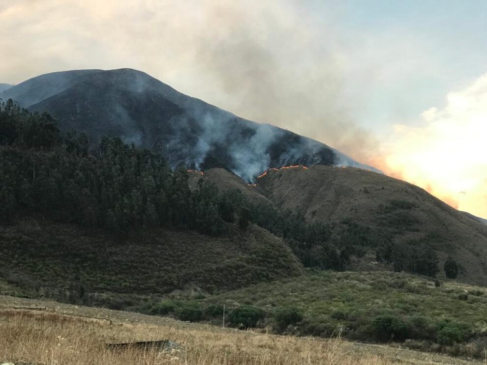 Incendio en Combuyo amenaza un bosque