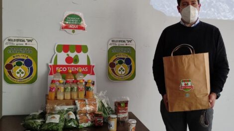 Lanzamiento de la prueba piloto de Eco-Tiendas