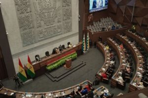 Ley 1386 y movilizaciones en Bolivia