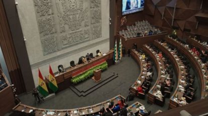 Ley 1386 y movilizaciones en Bolivia