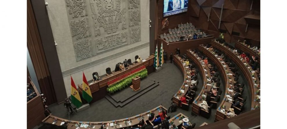 Ley 1386 y movilizaciones en Bolivia