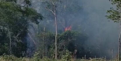 Incendio en Santa Cruz amenaza cultivos de piña