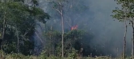 Incendio en Santa Cruz amenaza cultivos de piña