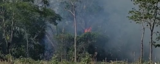 Incendio en Santa Cruz amenaza cultivos de piña
