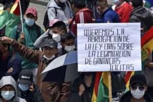 Movilizaciones contra la Ley 1386