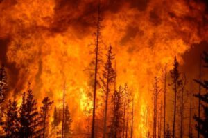 Ejecuciones en Siria por incendios forestales