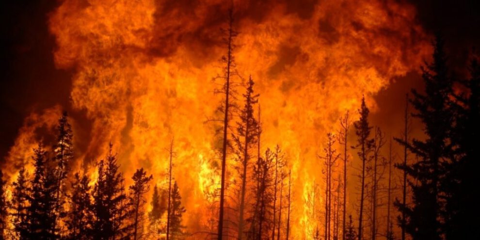 Ejecuciones en Siria por incendios forestales