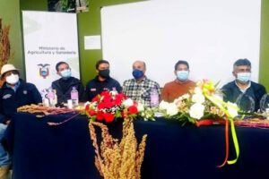 Producción de quinua orgánica entre Bolivia y Ecuador