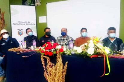 Producción de quinua orgánica entre Bolivia y Ecuador