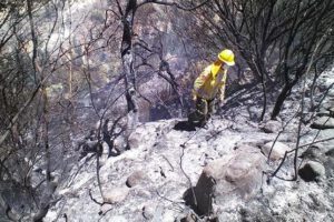 Incendios en el Tunari afectan a aves silvestres
