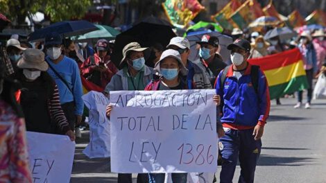 Convocan a una cumbre contra la Ley 1386