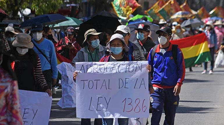 Convocan a una cumbre contra la Ley 1386