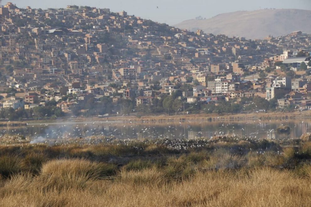 Incendio en la laguna Alalay tras el incendio