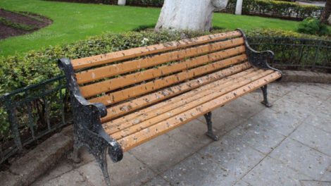 Deterioro del ornato público en la Plaza 10 de Febrero