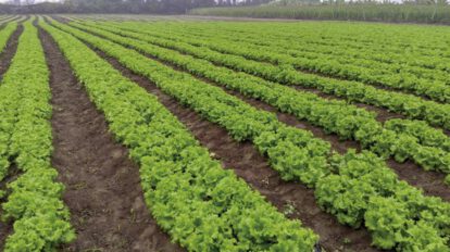 Rescatan a bolivianos explotados en condiciones de esclavitud