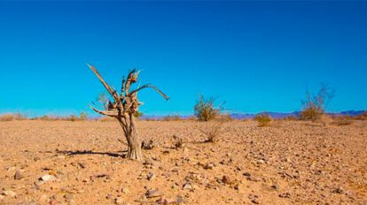 Adaptación al cambio climático costará medio billón de dólares
