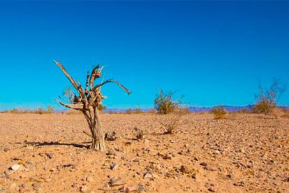 Adaptación al cambio climático costará medio billón de dólares
