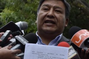 Referéndum sobre el aborto propuesto por Luis Aruquipa