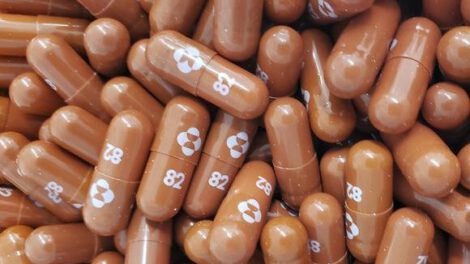 Cápsulas del medicamento antiviral molnupiravir de Merck