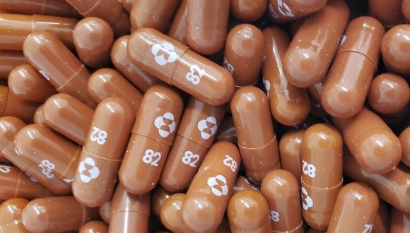 Cápsulas del medicamento antiviral molnupiravir de Merck