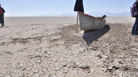 Recursos pesqueros en peligro en Bolivia
