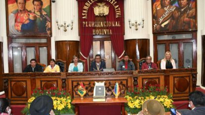 Freddy Mamani asumió la presidencia de la Cámara Baja