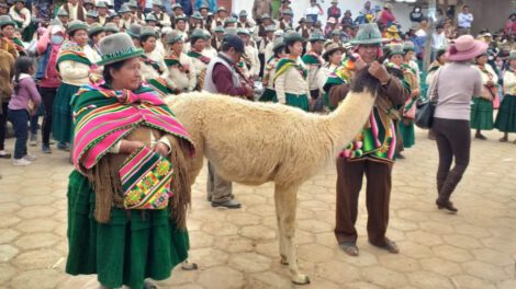 Festival Nacional de la Tarqueada en Totora