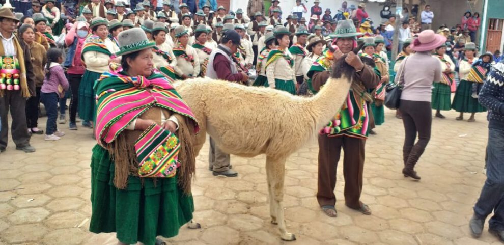 Festival Nacional de la Tarqueada en Totora