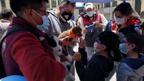 Familias adoptan mascotas sin hogar en la campaña de adopción