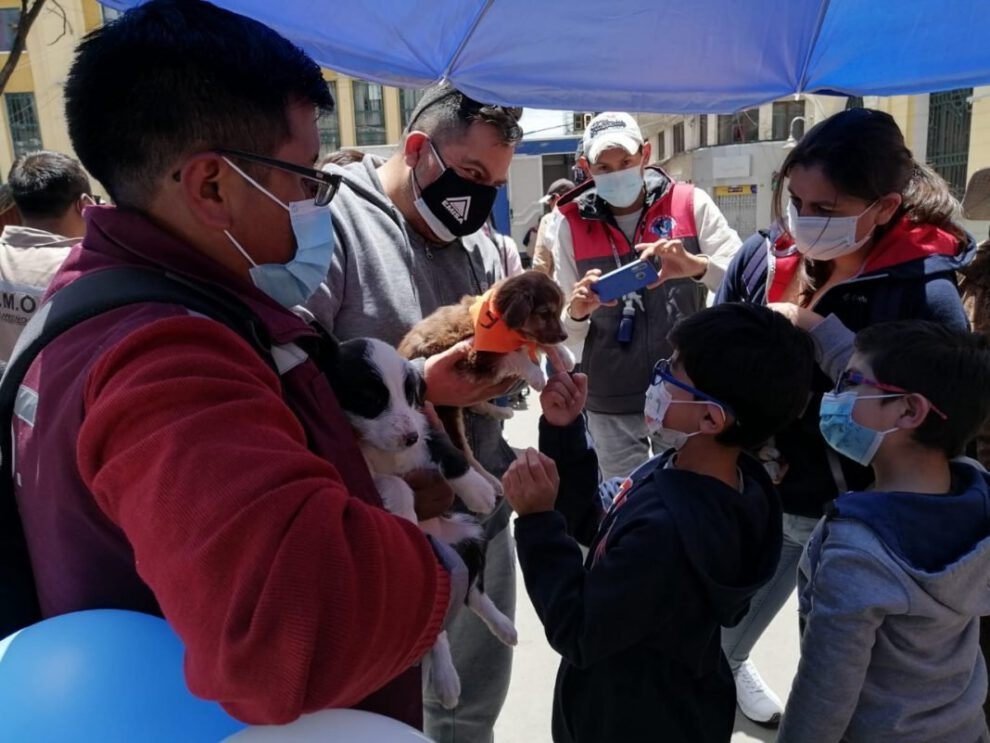 Familias adoptan mascotas sin hogar en la campaña de adopción
