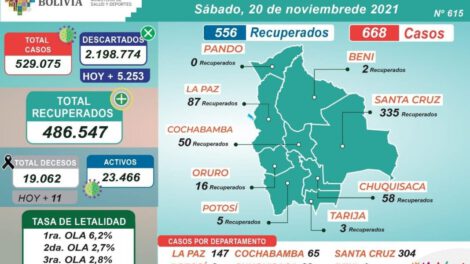 Reporte diario de casos de Covid-19 en Bolivia