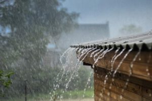Lluvias insuficientes para revertir efectos de la sequía