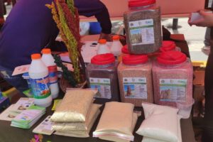 Transformación de la producción de la quinua boliviana