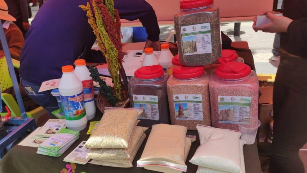 Transformación de la producción de la quinua boliviana