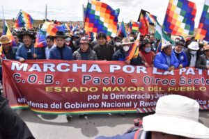 marcha por la Patria en defensa del Gobierno de Luis Arce