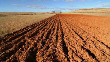 Conflictos de tierras entre Lequepampa y Panduro