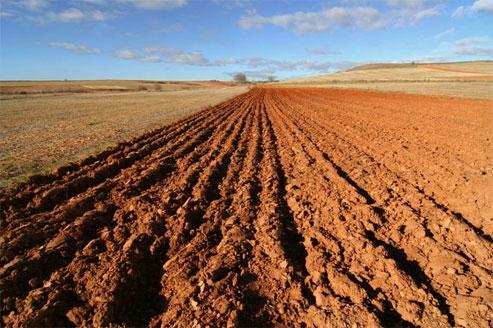 Conflictos de tierras entre Lequepampa y Panduro