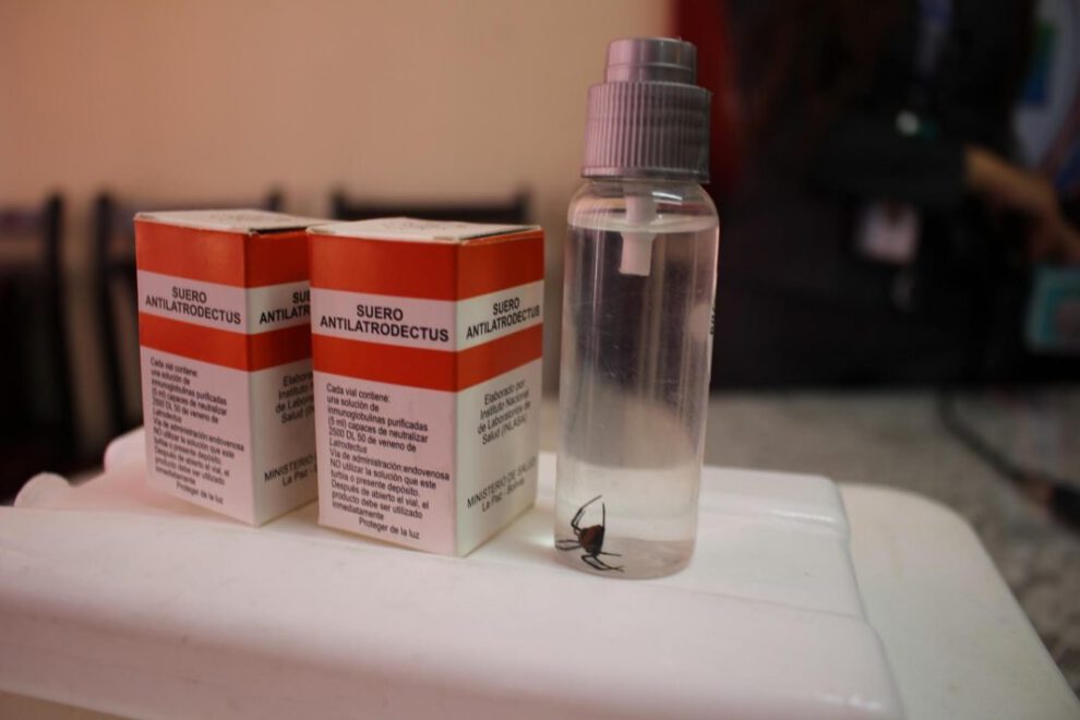 Suero anti Latrodectus ante cualquier caso de picadura