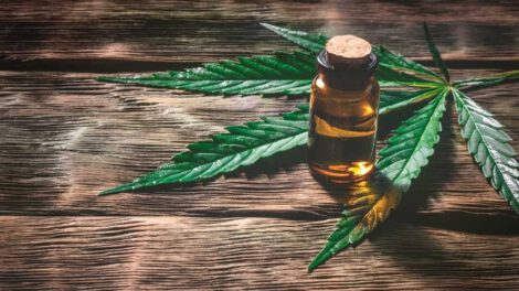 Uso de marihuana para tratamiento médico en niña con parálisis cerebral