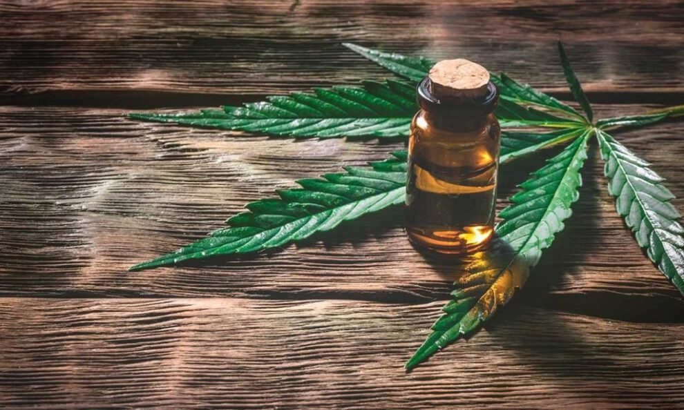 Uso de marihuana para tratamiento médico en niña con parálisis cerebral