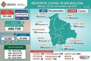 Cuadro estadístico del Ministerio de Salud sobre Covid-19 en Bolivia