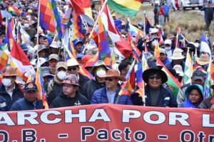 Marcha por la patria con Luis Arce en defensa de la democracia