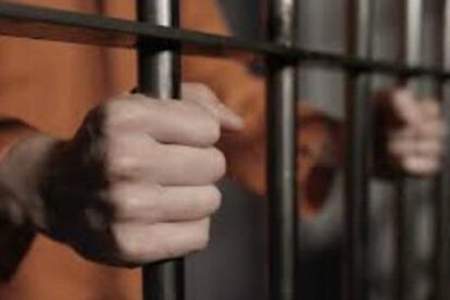 Persecución y detenciones ilegales en Bolivia según Creemos