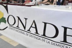 Marcha por la patria del Movimiento Al Socialismo según Conade