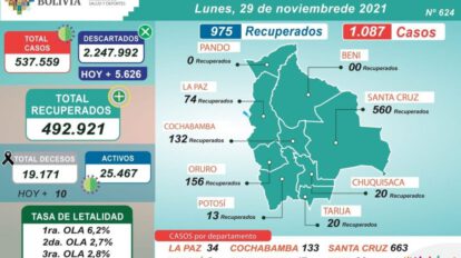 Informe diario sobre casos de Covid-19 en Bolivia