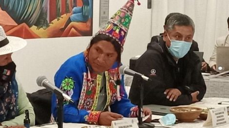 certificado de no racismo como requisito para ser funcionario público