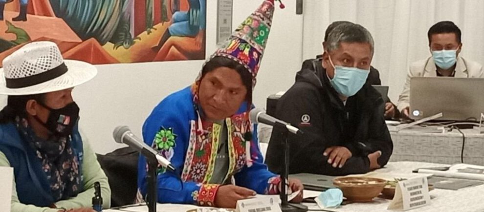 certificado de no racismo como requisito para ser funcionario público